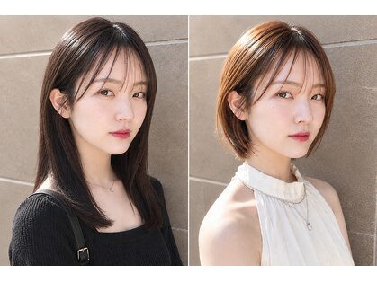 ブランチ(branch)の写真