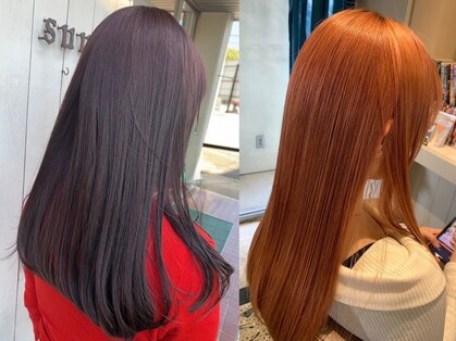 スー(suu)の写真