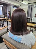 Academy SALON E  ピンクブラウン