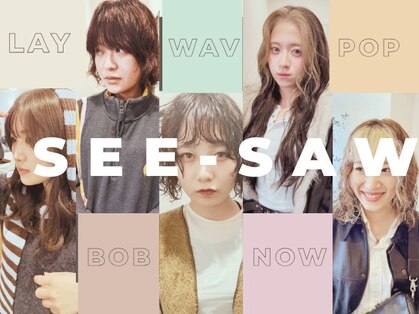 シーソー(SEE-SAW)の写真