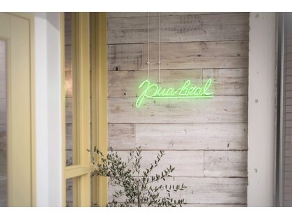 プアヒール(pua heal)の写真