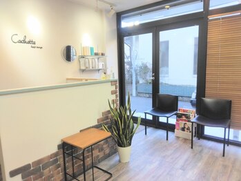 カシェット(cachette)の写真/相模大野駅近くの静かな隠れ家カシェットで、喧騒を離れ心ほどける癒し時間を。穏やかに過ごすひとときを。