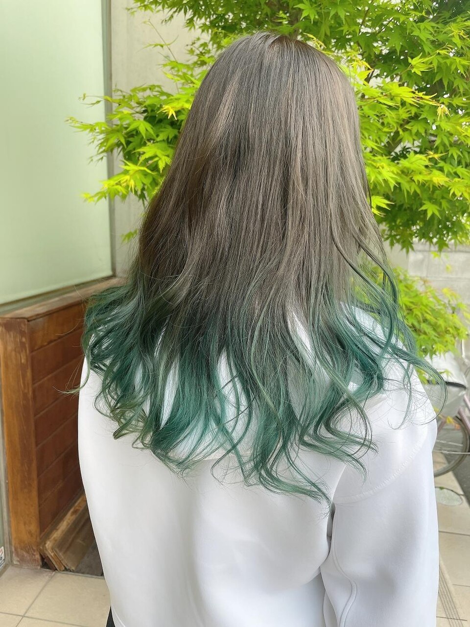 グレーからグリーンのグラデーションカラー：L117048765｜エム