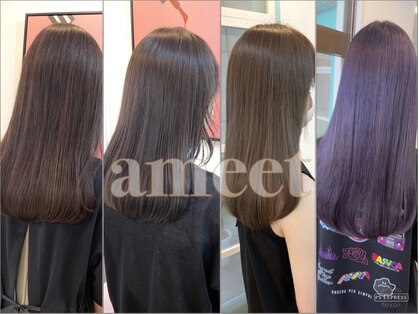 アミート(ameet)の写真
