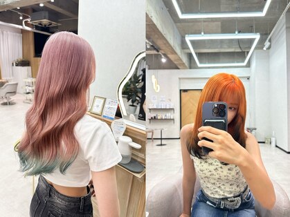 スイ(sui)の写真