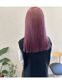 ピンクラベンダー