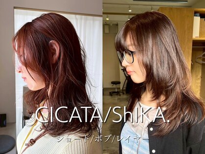 シカタ シーカ 鎌倉(CICATA/ShIKA.)の写真