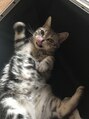 ディスイズバーバー(THIS IS BARBER) 家に猫がいます。猫大好きです！【波巻きパーマ/メンズカット】