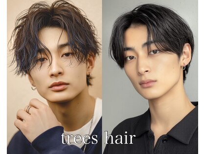 ツリーズ(Trees)の写真