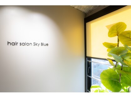 スカイブルー(Sky Blue)の写真