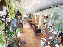 ヘアーピースナジャ(hair peace NADJA)の雰囲気（緑あふれる明るい店内へようこそ！）