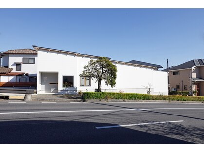 ソイル 朝霧(soil)の写真