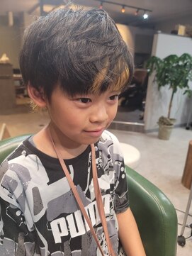 テラ(Terra) ショート