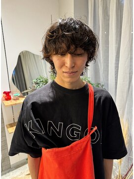 シプレ(cipre) mash wolf x perm