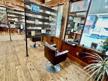 Log interface BRA-VO