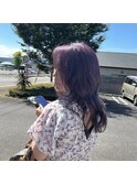 ヴァイオレットカラー