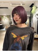 カシスラベンダー　奈良.橿原神宮前