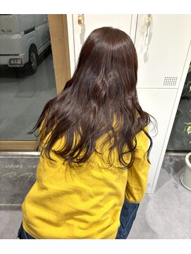 リアン(Lien) ワインレッド/カシスブラウン/ワンカラー/透明感カラー/カラー