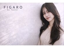 フィガロ バイ テイラー(FIGARO by Taylor)
