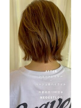 ネオエストログ(NeoestLog) 40代向け白髪ぼかしハイライト