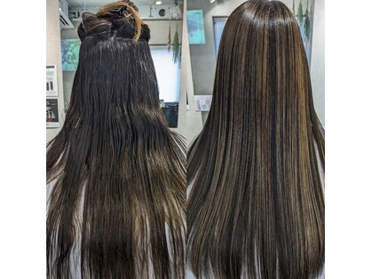 ウサギ 夏の写真