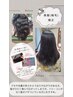 GW/梅雨前エールでお得!30000→27500プレミアム美髪矯正+表面TR+メンテカット