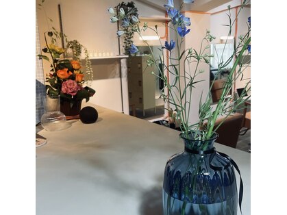 スゴス(sugosu)の写真