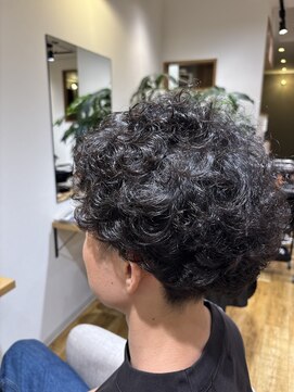 ジーナ(ZINA) メンズハードパーマ