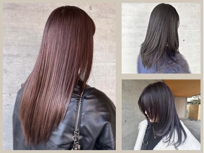 キングダム 鎌倉店 KINGDOMの写真