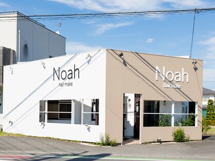 ノア(Noah)の写真