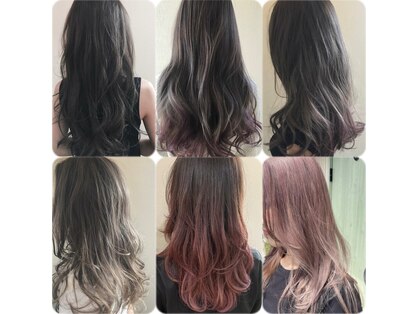 ヘアーレクスアリイ(Hair Lex Alii)の写真