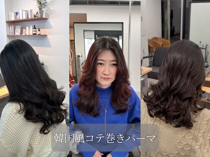 シロ(SILLO.)の写真