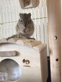 リープテイスト(Leap Taste) 小動物、わんこ、爬虫類だいすきです(^○^)