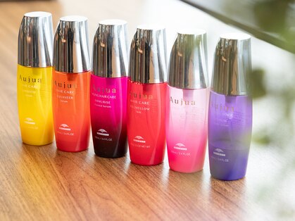 アッピアスエスト(Appias est)の写真