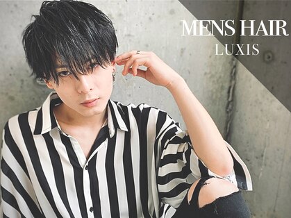 ラグシス(LUXIS)の写真