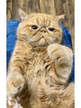 アルトリスト(Altruist Aging×HAIR&SPA) 代表取締役 髪質改善