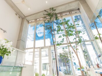 マリンゴ(marengo)の写真/【JR石川町駅徒歩1分】大人女性に人気♪髪の根本から解決する『髪質改善』『ヘアケア』が魅力のサロン◇