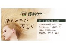 シェリアン (Cherien)の雰囲気（髪と頭皮に優しい酵素とハーブを使用し、ダメージを最小限に！）