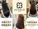 アコレ ミリュー 南草津店(ACCOLE milieu)の写真