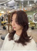 韓国レイヤーミディアム
