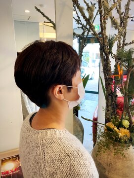 ルイラパレ(Louis La Pale) ハンサム・ショート