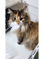 ピークス 千葉店(Peaks) 愛すべきうちの娘です。猫飼ってます。