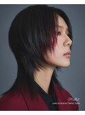 韓国ヘア マレット デザインカラー センターパート フェザー