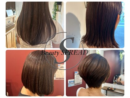 ビューティースプレッド(Beauty SPREAD)の写真