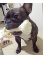 リコモ 上野御徒町(LikkleMore)&nbsp;愛犬のフレブルです。