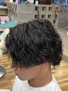 スウェル 千葉店(Swell) 強めサーフカール