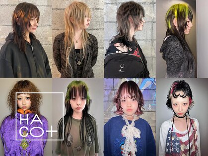 ハコ プラス(HACO+)の写真