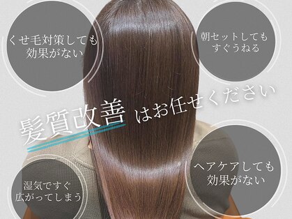 マーシュ(MARSH)の写真