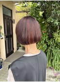 50代ミニボブ/高知ボブ