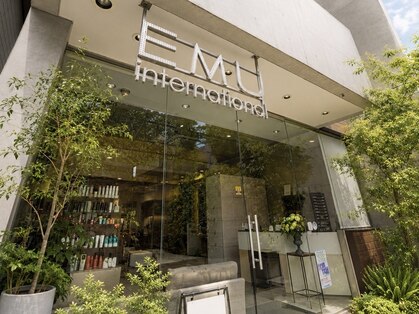 エム インターナショナル 春日部本店(EMU international)の写真